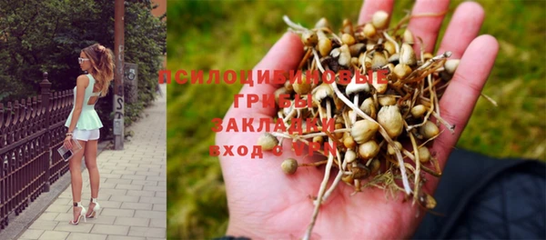 бутират Абаза