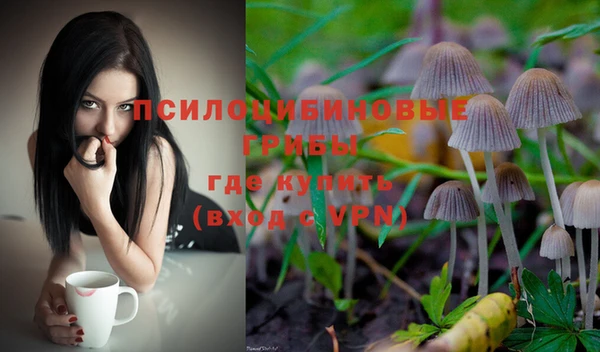 ALPHA PVP Алзамай