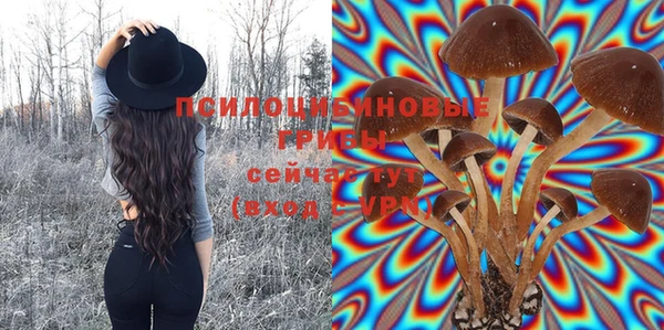 бутират Абаза