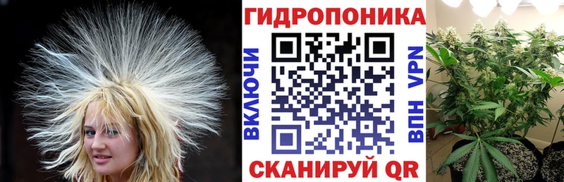Бошки Шишки OG Kush купить сайты Горбатов